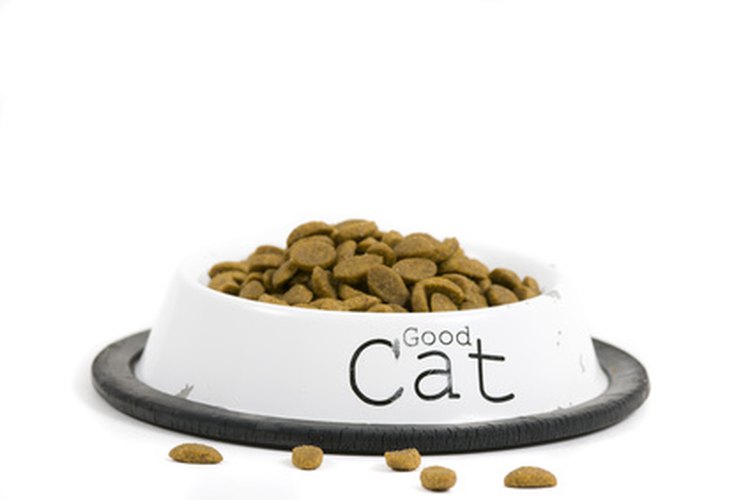 Es importante que tu mascota esté bien alimentada cuando no estás en tu casa.