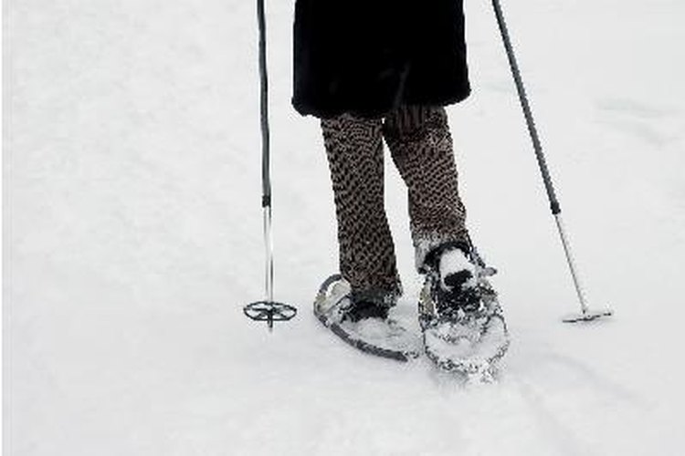 Las personas gustan de esquiar, caminar sobre raquetas de nieve durante el invierno.
