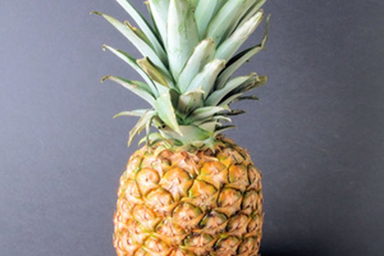 Las plantas de piña pueden tardar hasta dos años en dar fruto.
