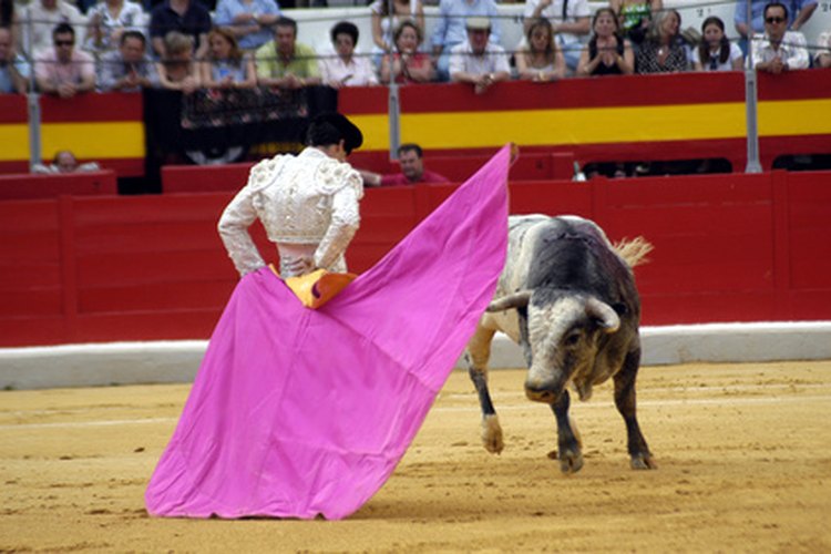 Los matadores usan trajes de colores fuertes para torear.