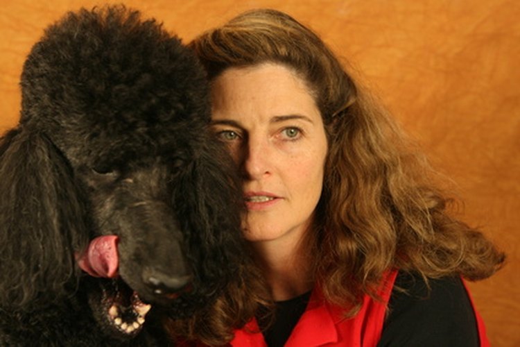 Aprende por qué tu perro te lame la cara.
