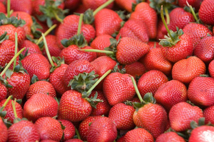 Las fresas son brillantes y coloridas, agregando un toque de frescura a los productos horneados.
