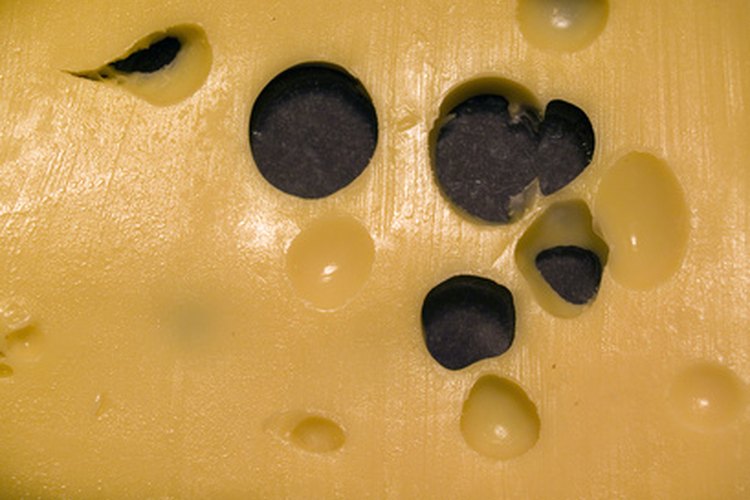 El queso gruyere es conocido por su sabor a nuez.