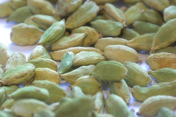 Los múltiples usos del cardamomo explorados.