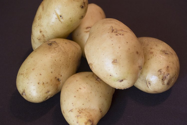 La patata no es el único bulbo con alto contenido de almidón.