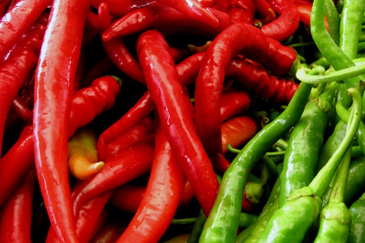 Diferentes especies de Chiles.