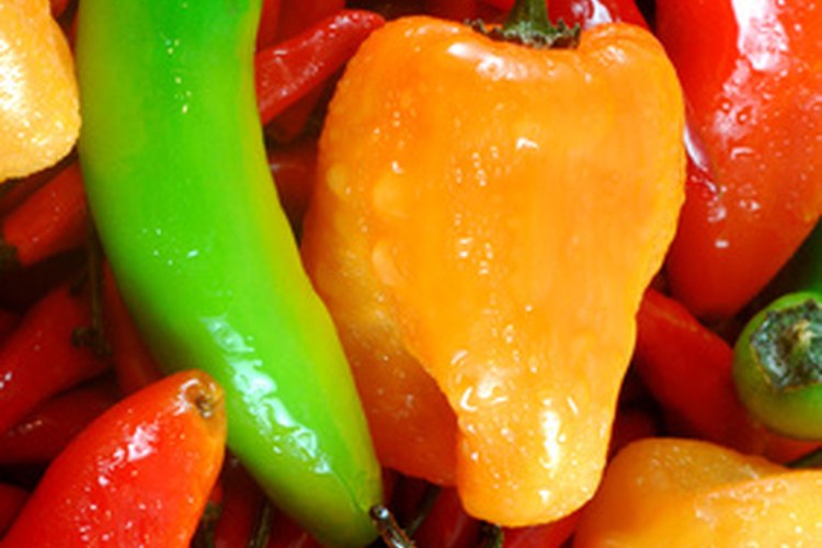 Cualquier tipo de pimiento puede ser usado para reemplazar el sabor del chipotle