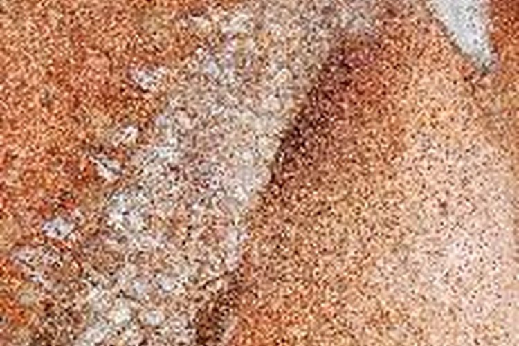 Muchas pinturas realizadas en las paredes de cavernas durante la Edad de Piedra todavía se conservan.