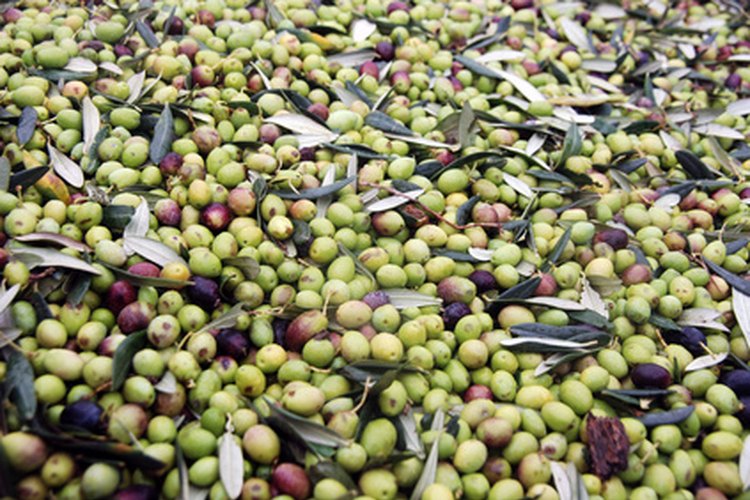 Mezcla de aceitunas negras y verdes.