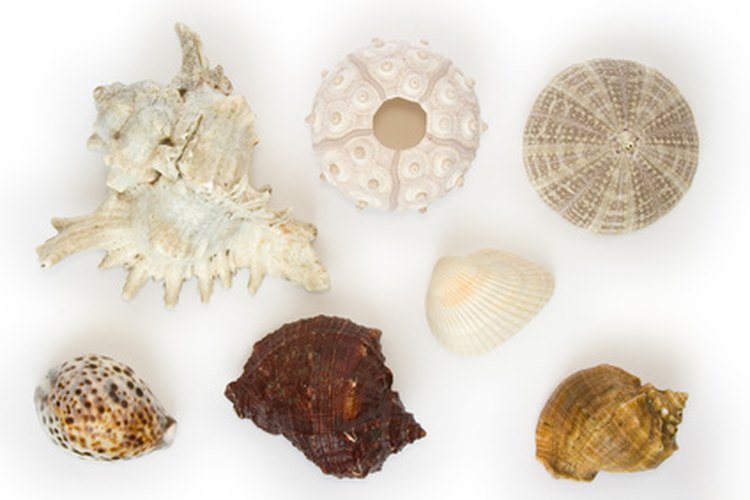 Los proyectos de macramé requieren de suministros y elementos decorativos como abalorios, anillos o caracolas de mar.