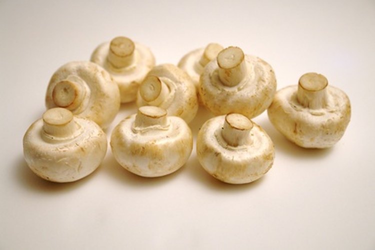 Champiñones.