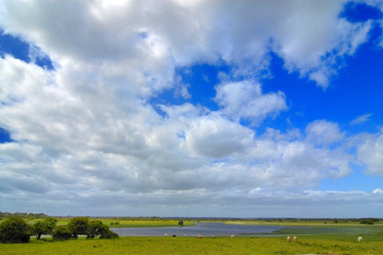 Irlanda es un lugar maravilloso para vivir y trabajar.