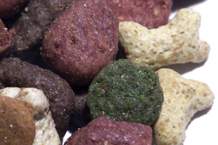 Las croquetas para gatos compradas en supermercado pueden contener ingredientes de baja calidad y muchos conservantes químicos.
