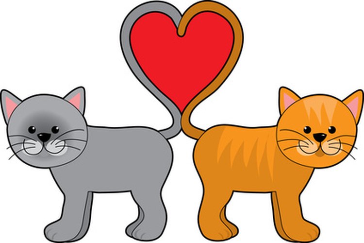 Los gatos por lo general tratan de asegurarse de que sus propietarios sepan lo que quieren.