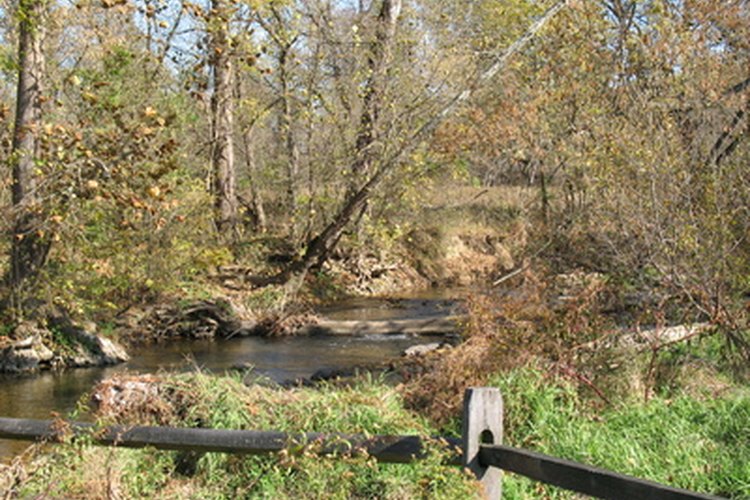 Maryland ofrece una amplia gama de lugares de pesca.