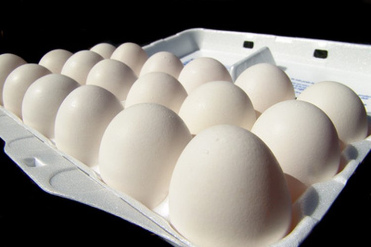 El programa de cupones para alimentos de Nueva York, parte del bienestar, proporciona ayuda alimentaria a personas con bajos ingresos.
