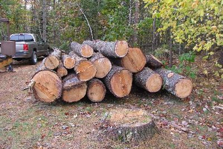 Troncos aserrados.