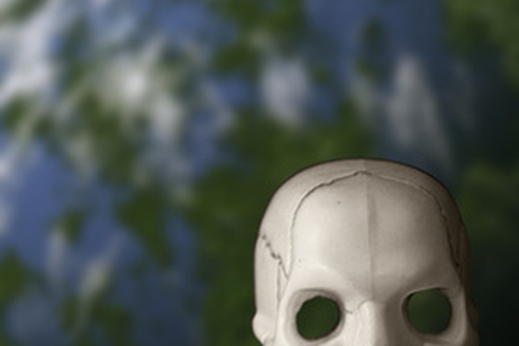 Las calaveras pequeñas ayudan a que el árbol negro llame la atención.