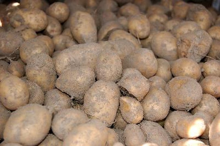 Papas.