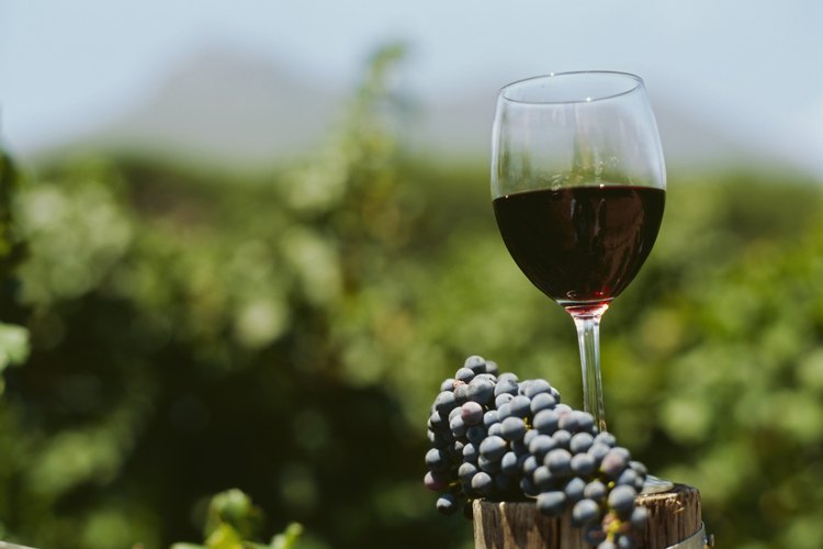 Vinos.