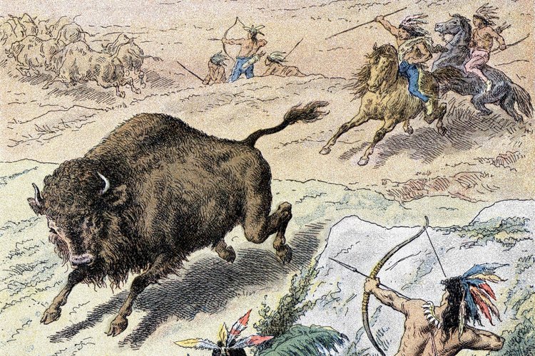 Los indios de las zonas boscosas utilizaban arcos y flechas para cazar caza mayor como el alce y el venado.