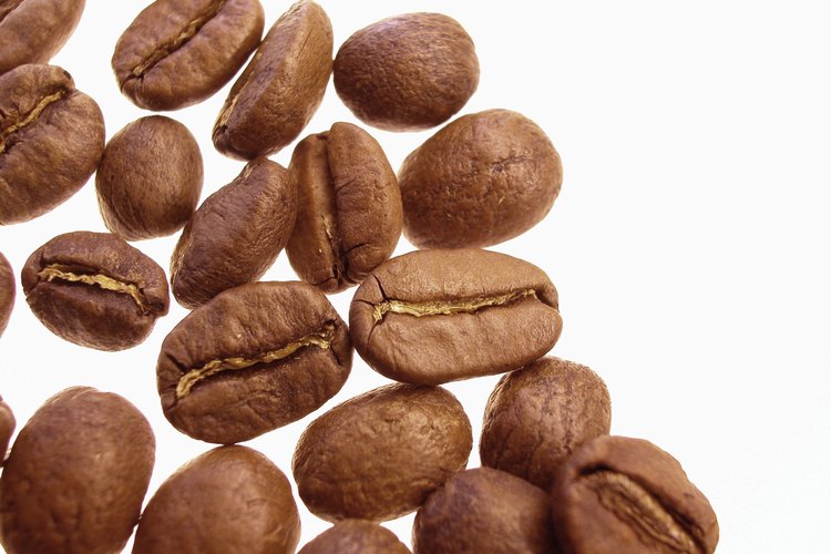 El grano de café Blue Mountain es famoso a nivel mundial.