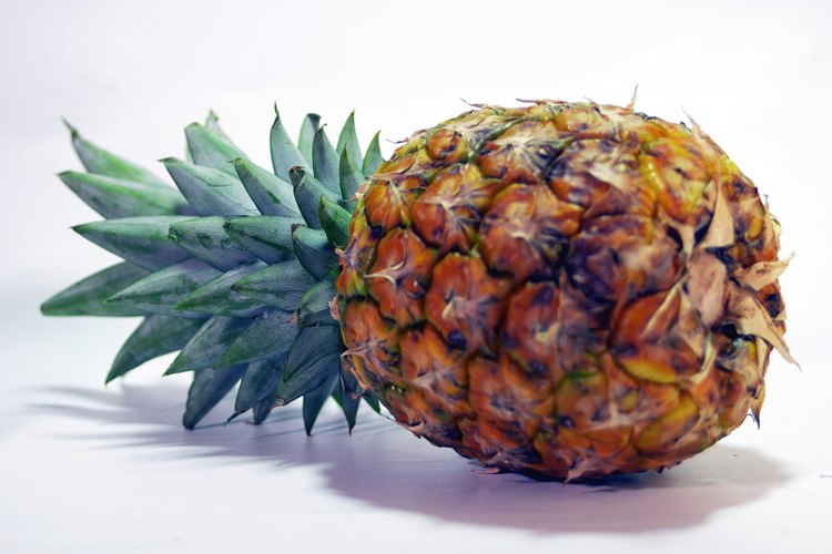 Los buenos controles culturales pueden prevenir las pestes de la piña.