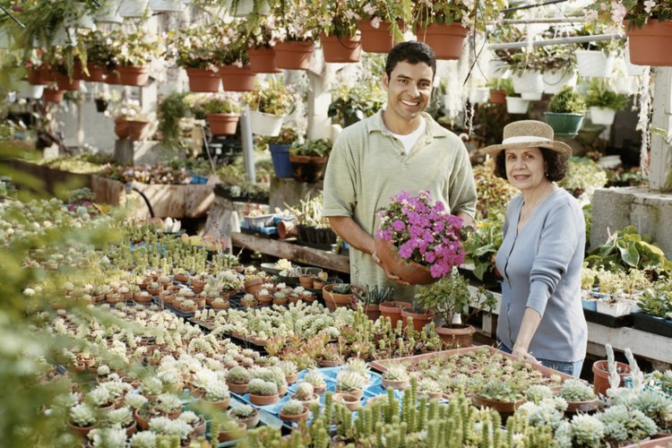 Los polinizadores mecánicos sacuden las plantas para mover el polen a través del aire.