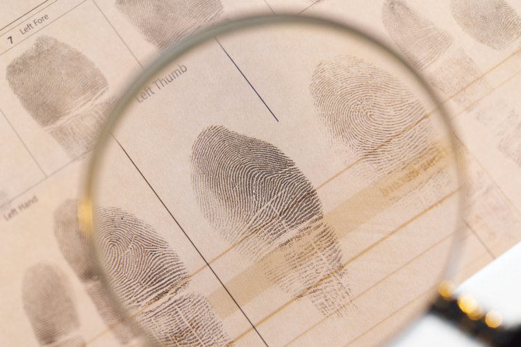 Identificar a las personas usando los patrones de las huellas digitales es una parte importante de la investigación criminal.