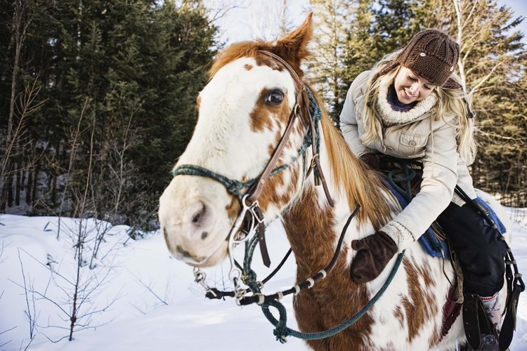 Los caballos se despojan naturalmente de su pelaje de invierno en la primavera.