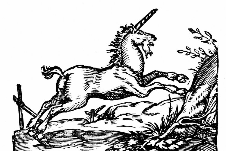 En la Biblia se mencionan los unicornios.