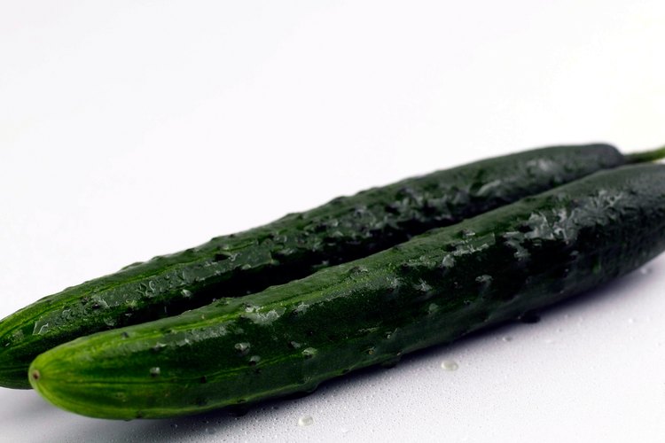 Los pepinos pertenecen a la planta de la familia cucurbitaceae y están estrechamente relacionados con el calabacín, calabazas y melones.