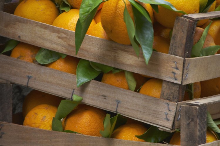 Las naranjas tiene varios elementos que contribuyen a la nutrición de la comida, como así también al sabor y a las fragancias en productos usados en la vida cotidiana.