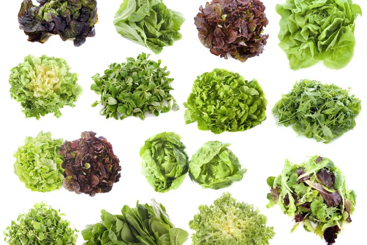 La lechuga es considerada un cultivo de "alto valor".