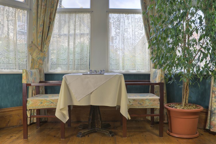 Comedor con un ficus.