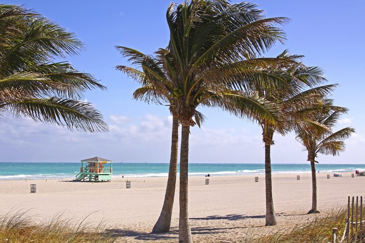 Miami Beach es excelente para visitar en enero.