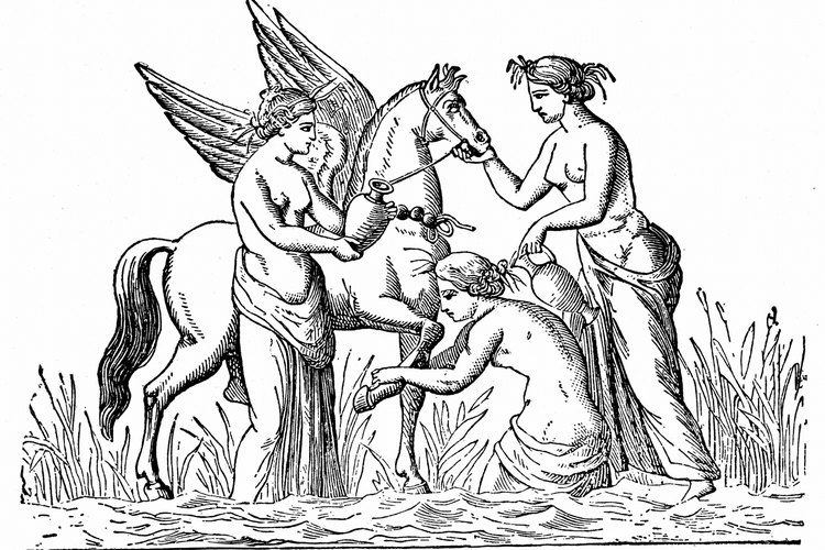 Pegaso es representado a menudo en la mitología griega.