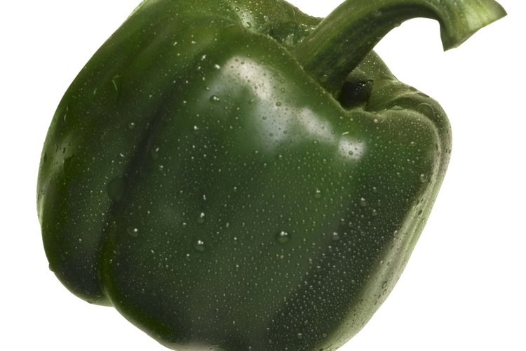 Los pimientos verdes son los menos maduros de todos los tipos de pimiento.