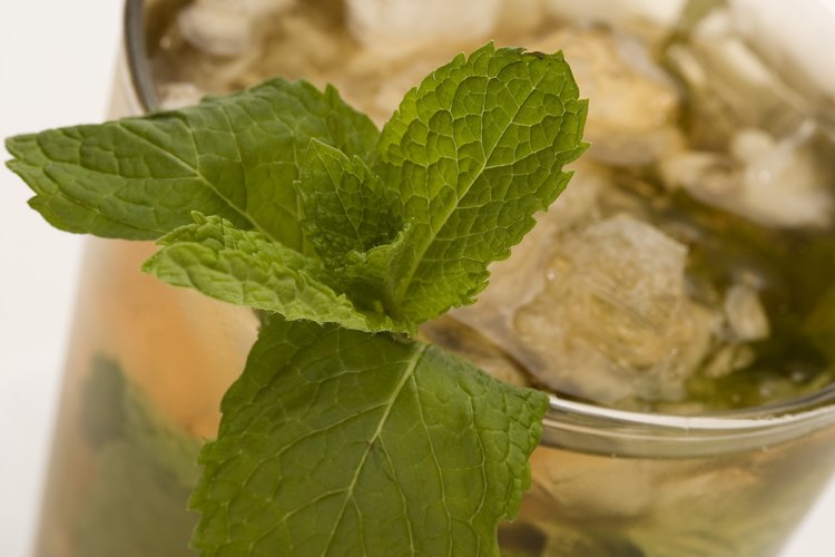 El té de menta ha ganado algo de popularidad como un diurético suave.