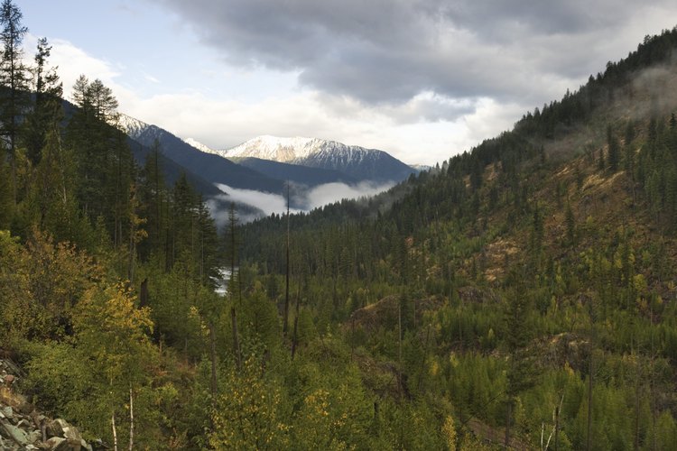 Oregon tiene un impresionante destino turístico en la ciudad Grants Pass.