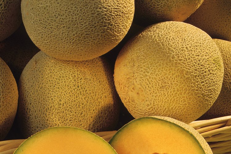 El melón cantaloupe de América es en realidad un melón muskmelon.