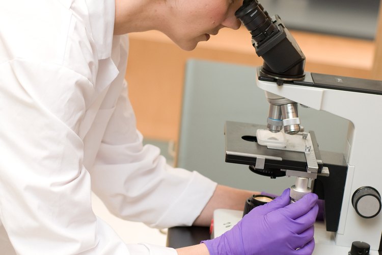 La ciencia forense en el laboratorio es uno de los campos de la medicina forense.