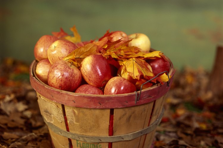 Las canastas almacenan la fruta después de la eliminación del árbol.