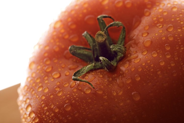 Los tomates frescos a menudo son de más alta calidad que los comprados en la tienda.