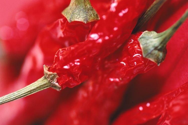 Chiles secos