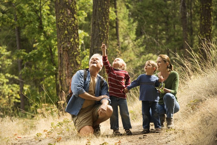 A los niños les encanta la vida silvestre.