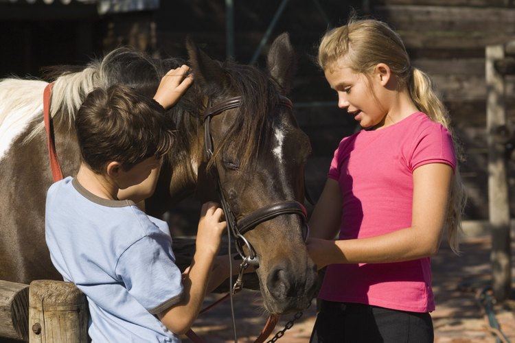Louisville ofrece varias opciones a los niños para interactuar con caballos.