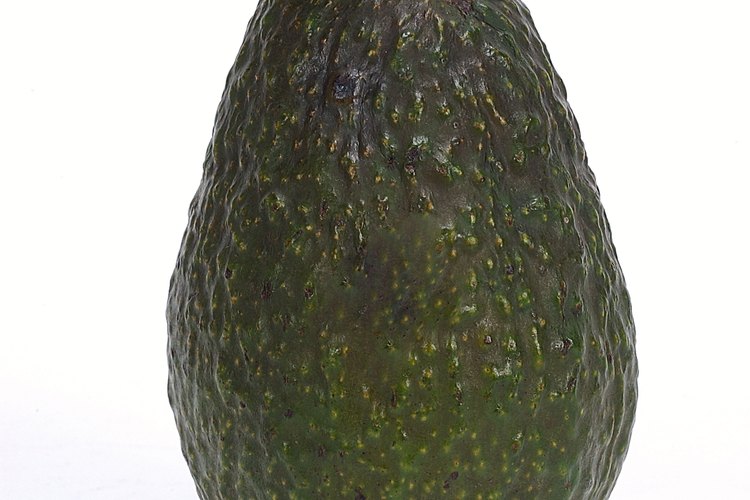 La cosecha del aguacate Hass comienza a mediados de marzo en California.