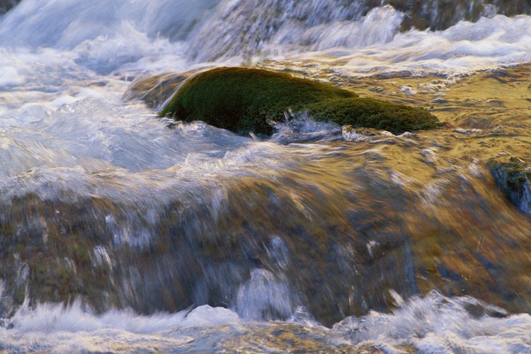 Acampa sobre el Río Agua Fria en Arizona central.