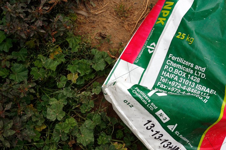 Los números de los fertilizantes muestran el porcentaje de nitrógeno, fósforo y potasio.